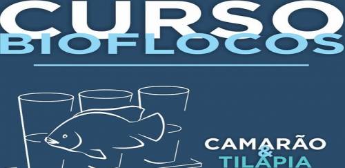 Curso de Produção de Tilápia e Camarão Marinho em Sistema de Bioflocos - 180w