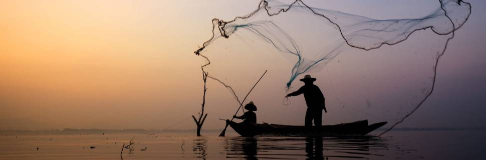 Gestão da sustentabilidade e do pescado: a esperança está na união