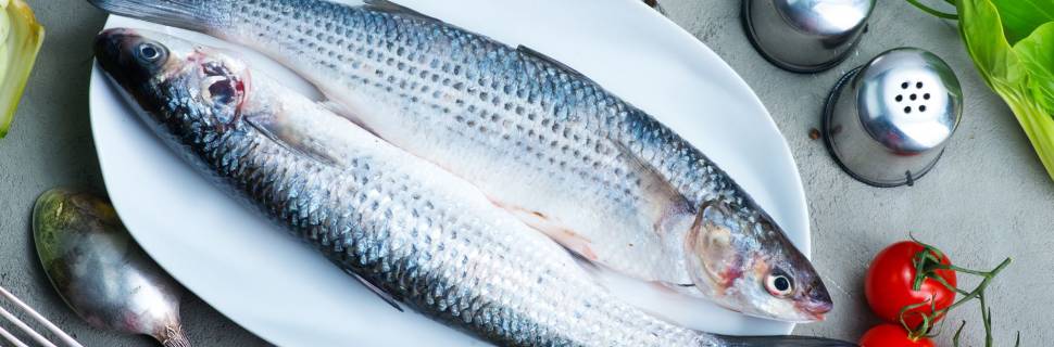Inflação do pescado fecha 2022 em 3,09%