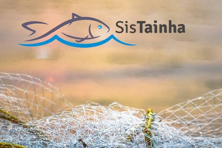 SisTainha