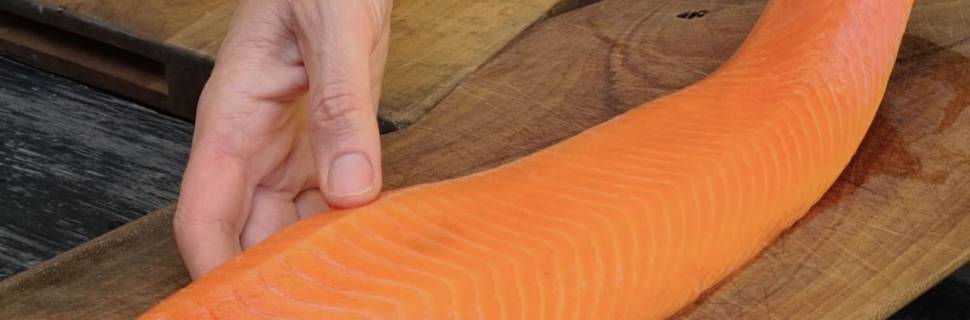 Congelado e em novos cortes: salmão coho do Chile cresce no varejo