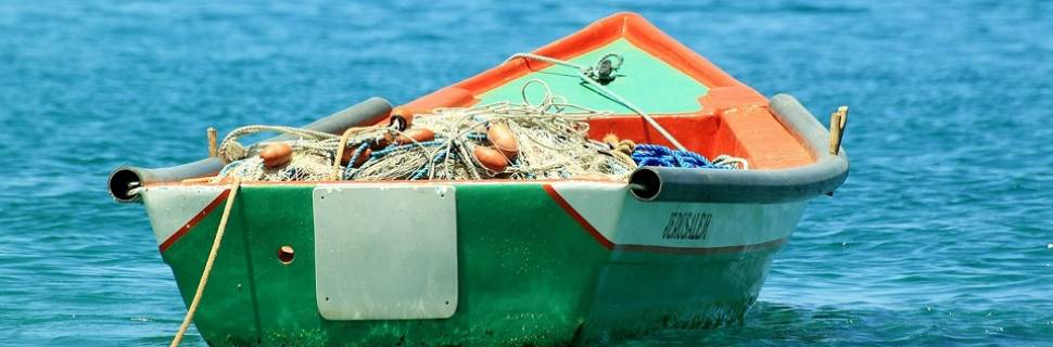 Aprovação de captura de sardinha em isca em Noronha gera críticas