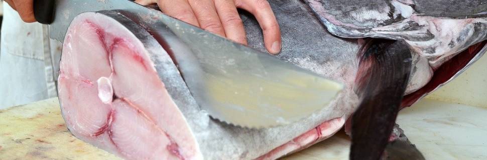 China suspende exportação de frigorífico de pescado brasileiro 