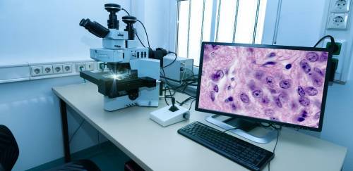 Pathovet quer popularizar biotecnologia no diagnóstico de doenças