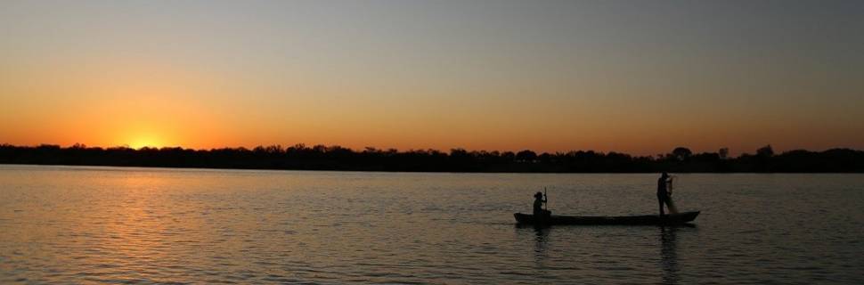 >Peixe SF cria holding para fábrica de ração e frigorífico Peixe SF cria holding para fábrica de ração e frigorífico