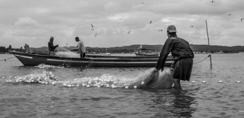 Pescadores do sul catarinense mostram decepção com safra da tainha