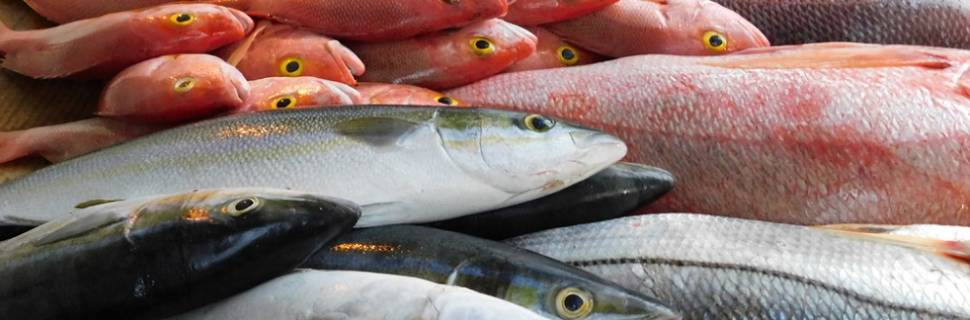 Pesquisa aponta oportunidades para marcas em produtos com pescado