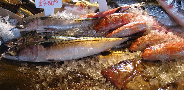 Pesquisa reprova 21 marcas de pescados