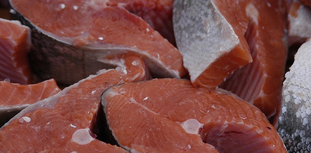 Exportação de salmão chileno cresce duas vezes mais que a economia do país