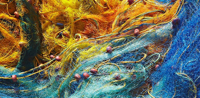 Pescadores de SC querem liberar rede anilhada