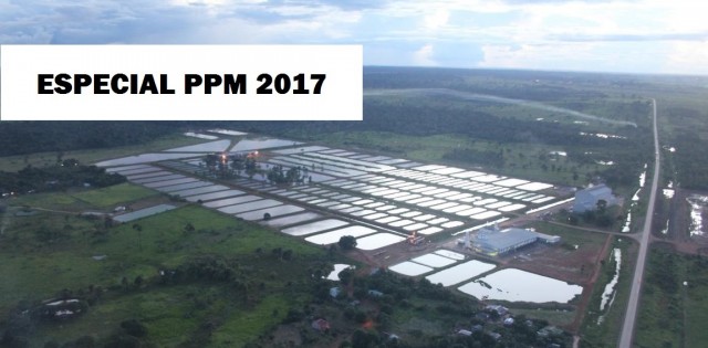 Especial PPM 2017: produção aquícola cai 5,7% com mancha branca e piscicultura em baixa no Amazonas