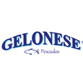 Gelonese