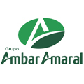 Grupo Ambar Amaral