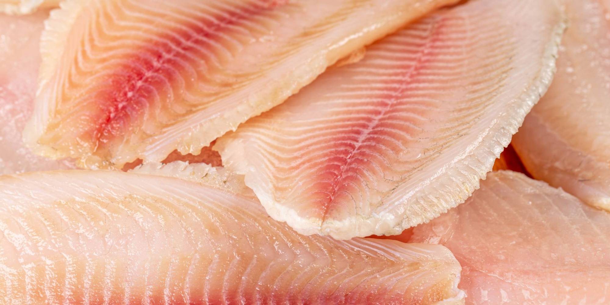 Tilápia do Vietnã: setor brasileiro reage à possível importação