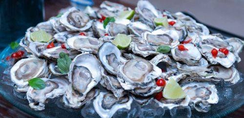 Ostras do Cabaraquara (PR) recebem selo de Indicação Geográfica Ostras do Cabaraquara (PR) recebem selo de Indicação Geográfica