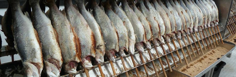 Noruega bate recorde de exportações de frutos do mar em 2021