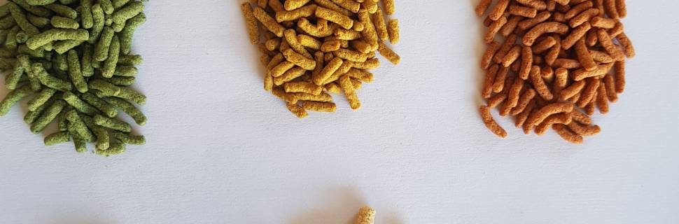  Rações: equilíbrio entre performance e preço na aquicultura