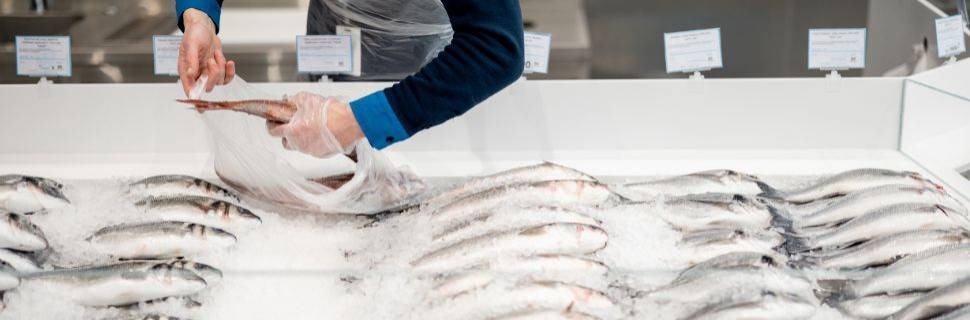 Pescado e tarifaço: entre o risco e a chance de consolidar o consumo Pescado e tarifaço: entre o risco e a chance de consolidar o consumo