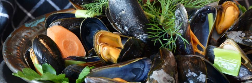 Com aquicultura 4.0, MSB busca novo significado para maricultura