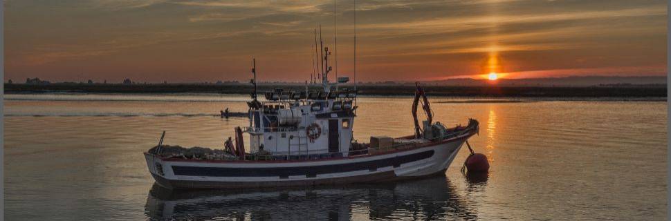 MPA define cotas de óleo diesel para a pesca em 2025