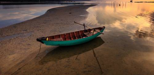 Surto de rabdomiólise prejudica venda de pescado em regiões do País