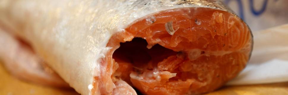 >Estaleiro Detroit entrega primeiro wellboat fabricado no Brasil Estaleiro Detroit entrega primeiro wellboat fabricado no Brasil