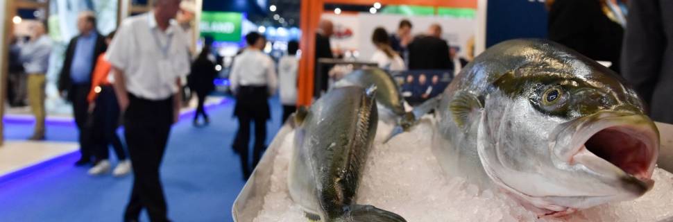 Seafood Expo Global reúne indústria de pescado em Barcelona 