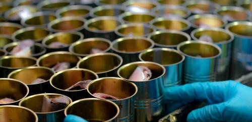 A importância das análises laboratoriais na indústria de pescado A importância das análises laboratoriais na indústria de pescado