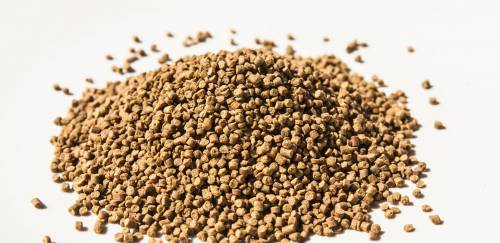 Produção de ração para aquicultura deve atingir 1,5 mi de toneladas Produção de ração para aquicultura deve atingir 1,5 mi de toneladas