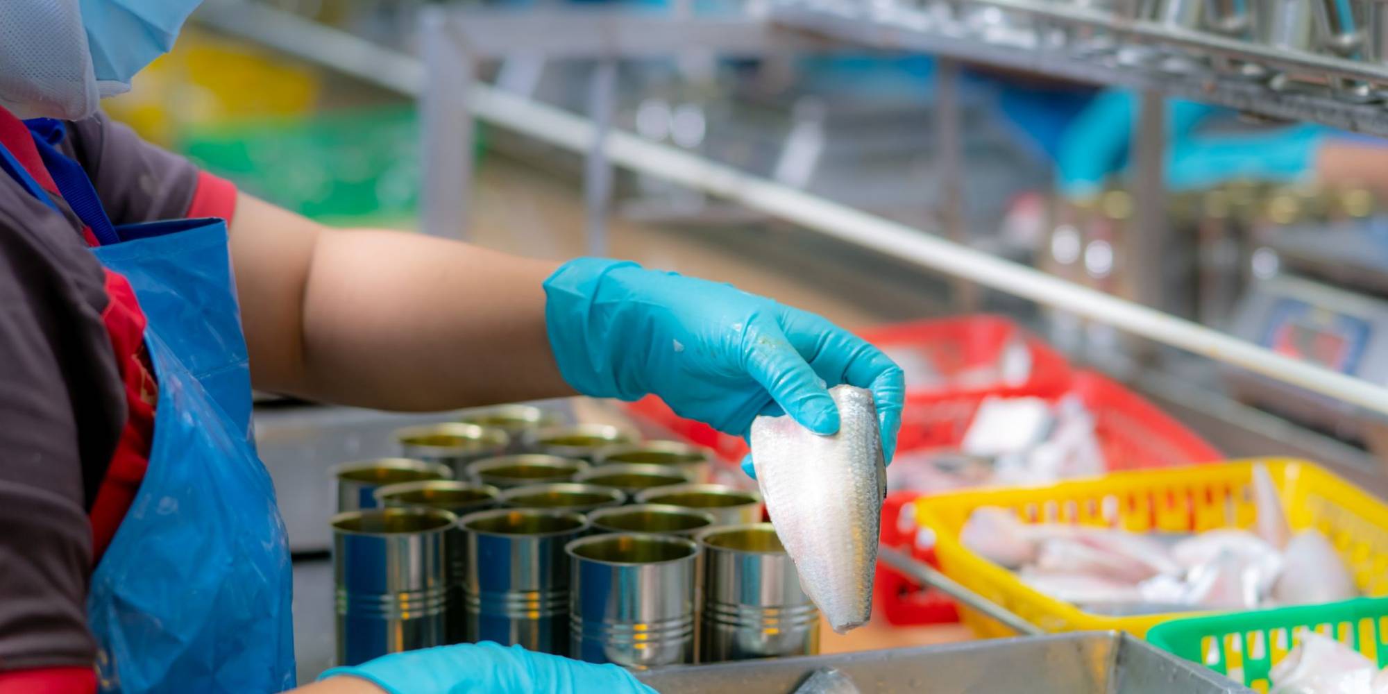 A importância dos indicadores de desempenho na indústria de pescado