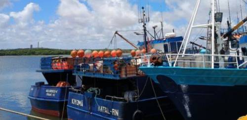 MPA e MMA definem regras no monitoramento das cotas de atuns e afins