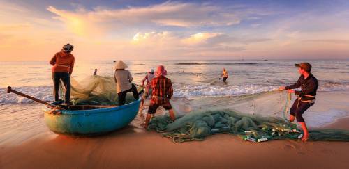 SAP/MAPA anuncia encerramento da pesca de tainha de emalhe anilhado