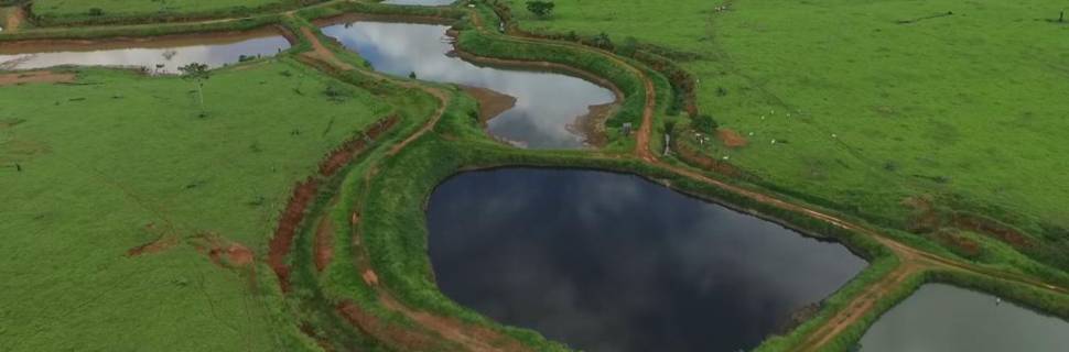 Tambaqui do Vale do Jamari conquista selo de indicação de procedência 