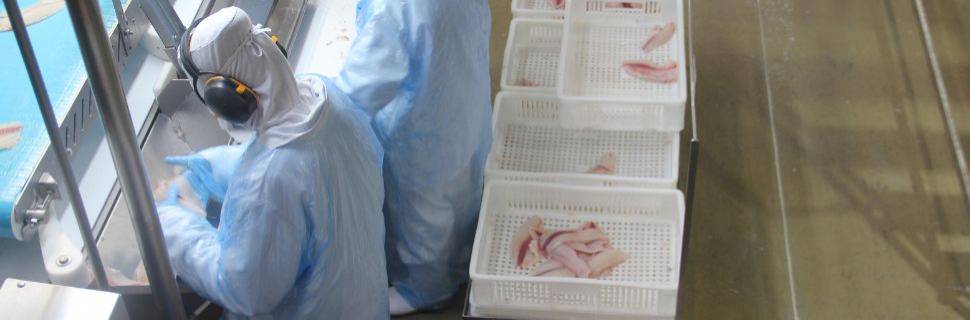 Rastreabilidade EUA, sinalização FDA e por que setor deve se antecipar