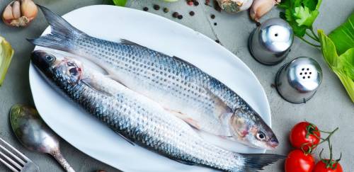 Inflação do pescado fecha 2022 em 3,09%