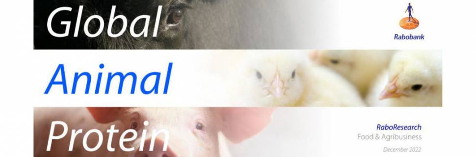 Aquicultura vai liderar crescimento global de proteínas em 2023