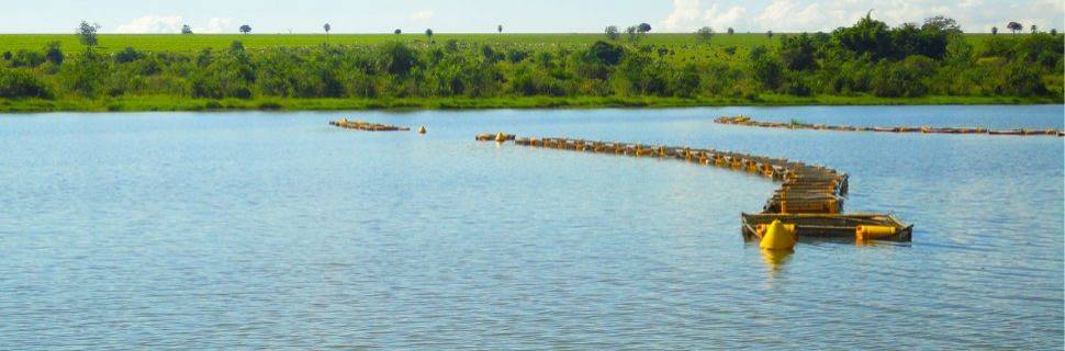 FAO lança ferramenta para aquicultura focado em mudanças climáticas