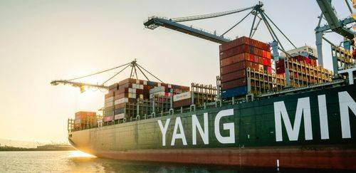 Do mar à gôndola: como funciona a logística do pescado importado Do mar à gôndola: como funciona a logística do pescado importado