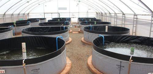 MME prorroga consulta de desconto tarifário à irrigação e aquicultura