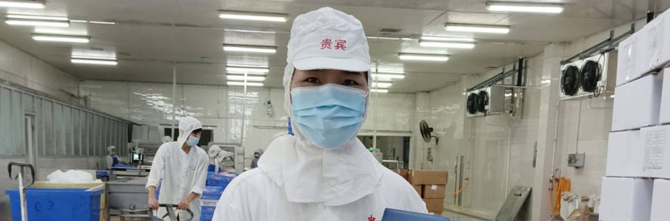 Tilápia chinesa: de alta histórica à queda profunda em três meses