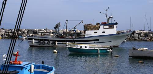 Reunião da OMC sobre os subsídios à pesca termina sem acordo