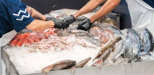 Inscrições para Prêmio Melhores Peixeiros são prorrogadas Inscrições para Prêmio Melhores Peixeiros são prorrogadas