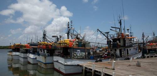 Iniciativa OpenTuna: transparência nos dados de pesca Iniciativa OpenTuna: transparência nos dados de pesca