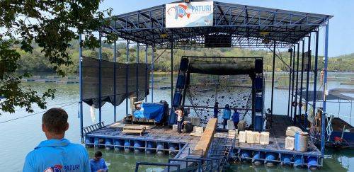 Como a Paturi integra e impulsiona a tilapicultura no Paraná Como a Paturi integra e impulsiona a tilapicultura no Paraná