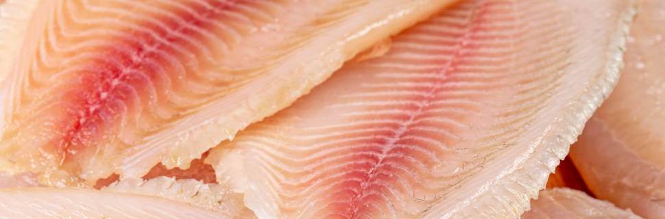 Tarifaço de Trump cria cenários distintos para o pescado brasileiro