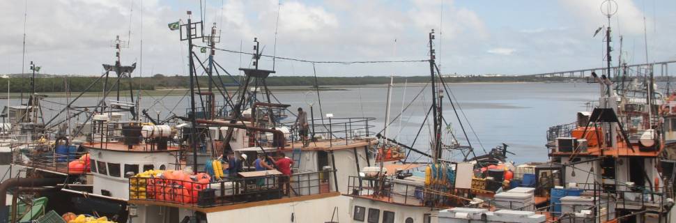 Governo publica cotas de capturas de espécies de atuns e afins