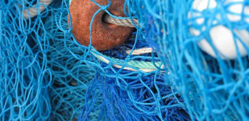 Pesca de Arrasto no RS: Comissão aprova projeto que anula portaria 