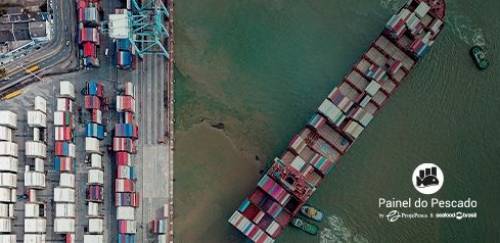 Brasil aumenta exportação de pescado aos EUA em 36%