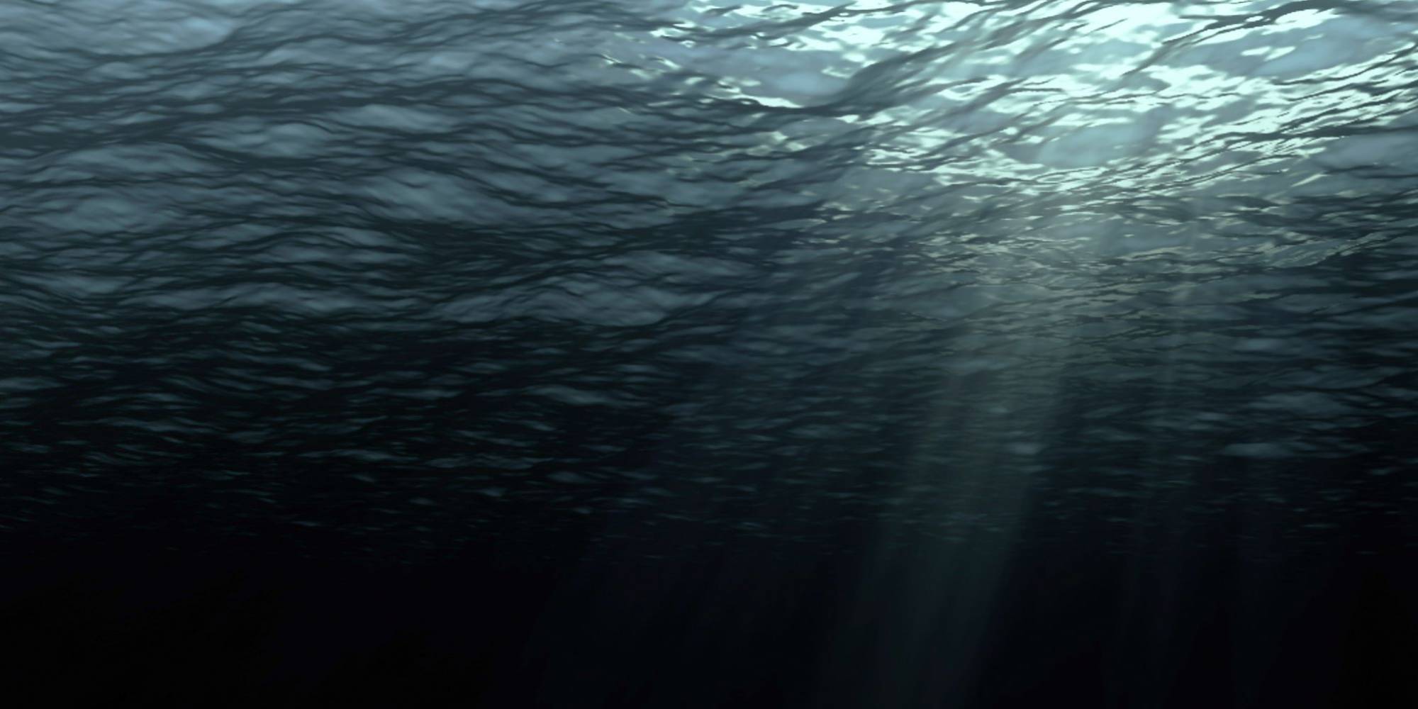 Brasil tem apenas 50% das pescarias com situação conhecida