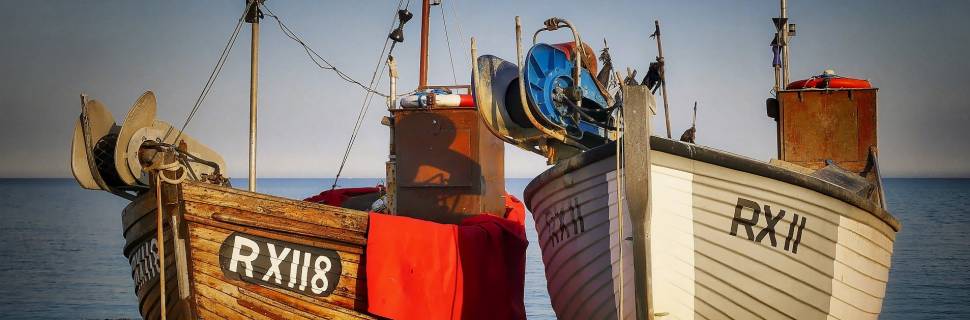 >Governo lança SISRGP4.0 e recria CPGs através da Rede Pesca Brasil Governo lança SISRGP4.0 e recria CPGs através da Rede Pesca Brasil